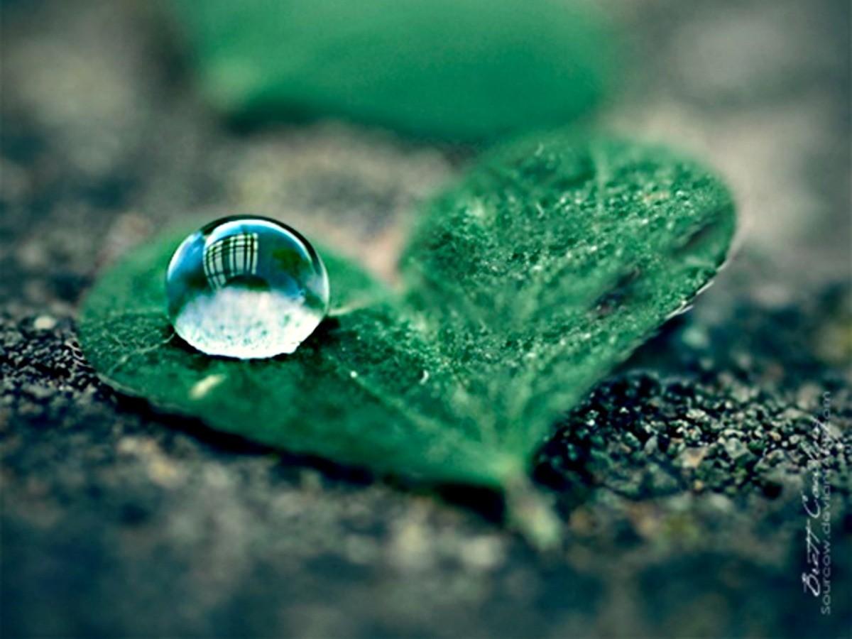 1200x900 Cute Water Drop Photography Wallpaper & Background Download
