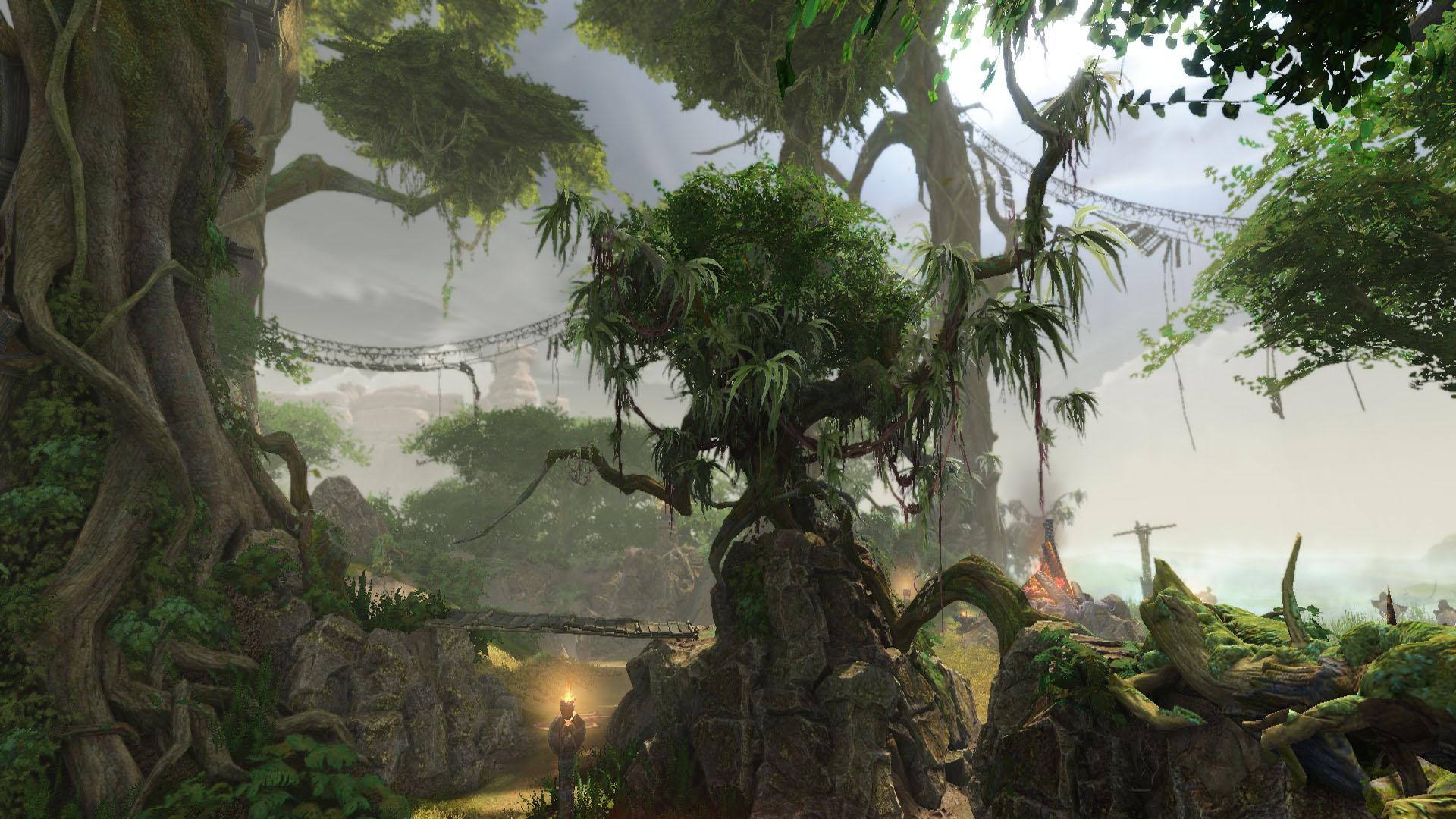 1920x1080 Cool Jungle Photo HD (10)
