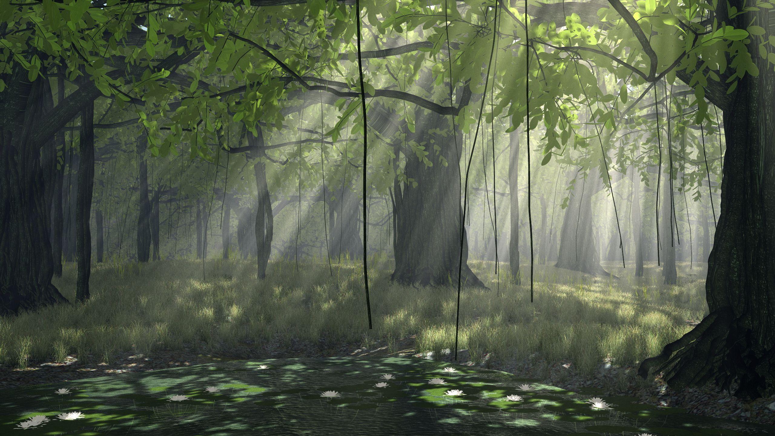 2560x1440 Download Cool Jungle Wallpaper Without Words