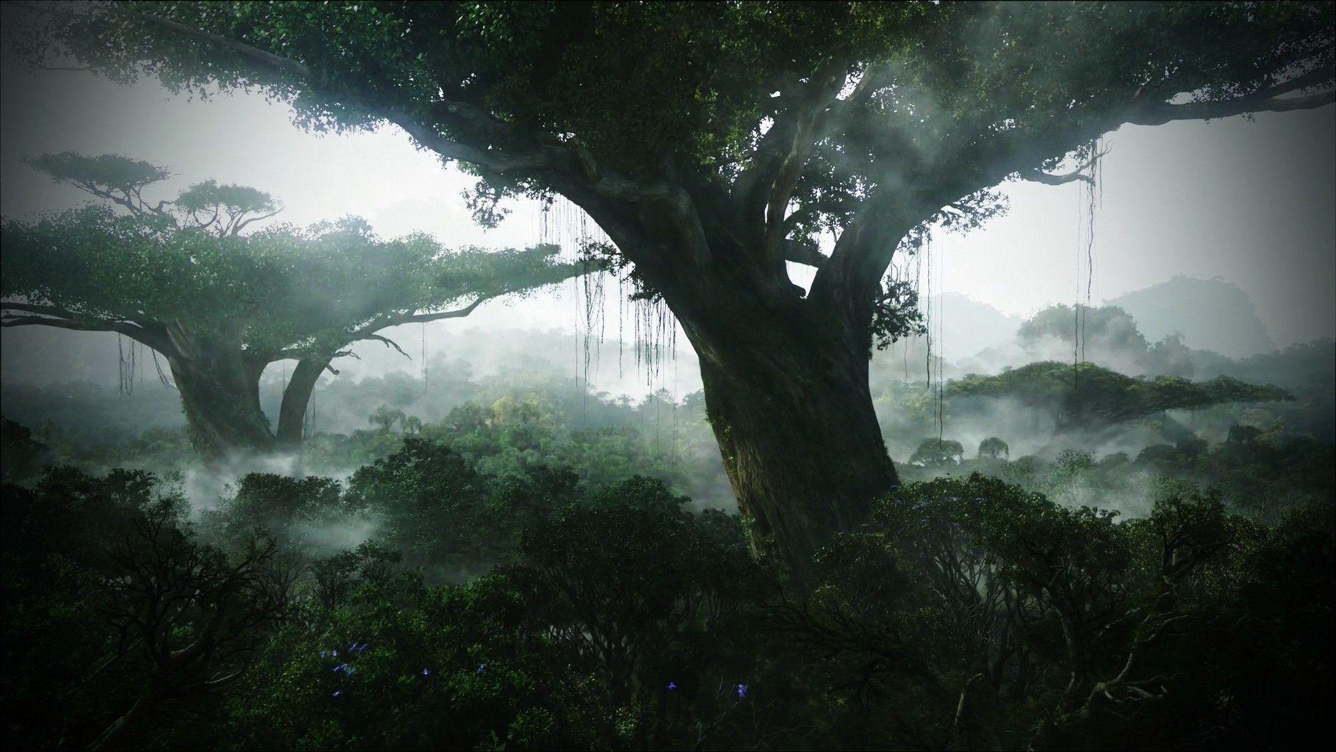 1920x1080 Jungle Awesome Big Tree Wallpaper (1920×1080). Avatar Tree, Jungle Wallpaper, Nature