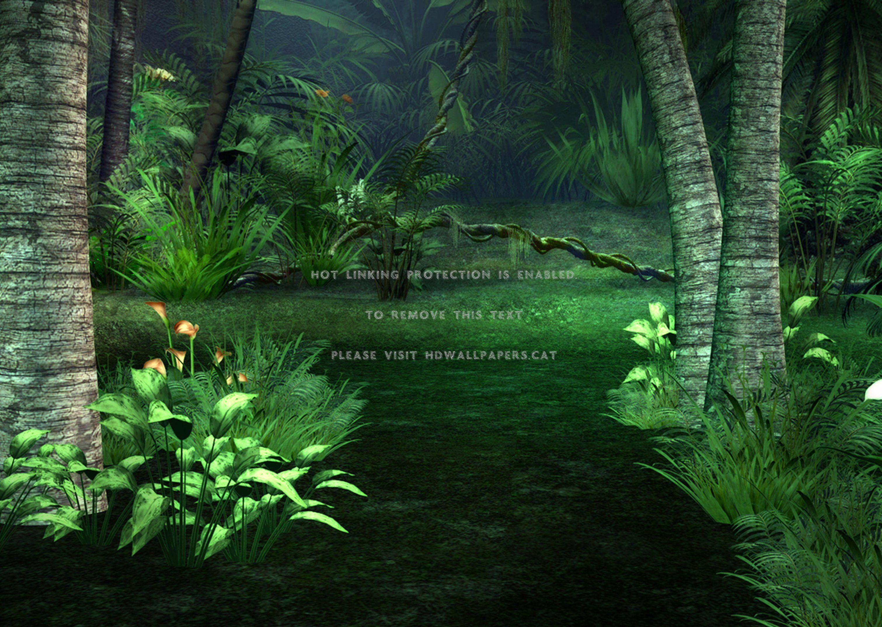 3022x2149 cool jungle pathway. beautiful flowers