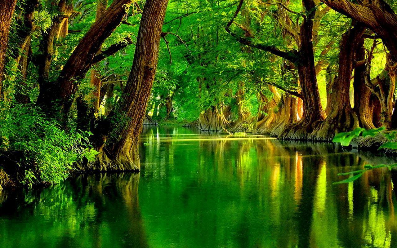 1280x800 Green River Background .
