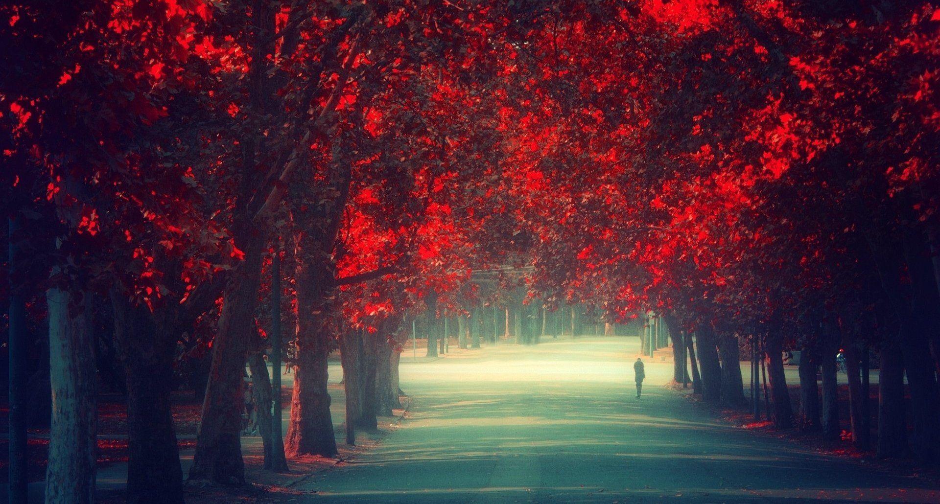 1920x1030 Free download Alone HD Wallpaper [1920x1030] for your Desktop, Mobile & Tablet. Explore Alone Boy Wallpaper. Alone Boy Wallpaper, Alone Boy Wallpaper, Alone Boy HD Wallpaper
