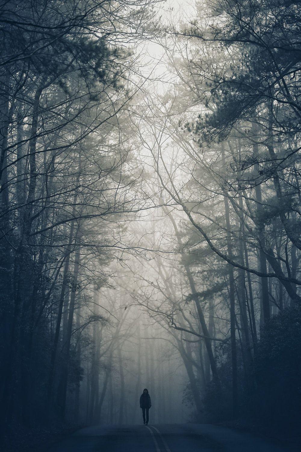 1000x1500 Lonely Picture. Download Free Image