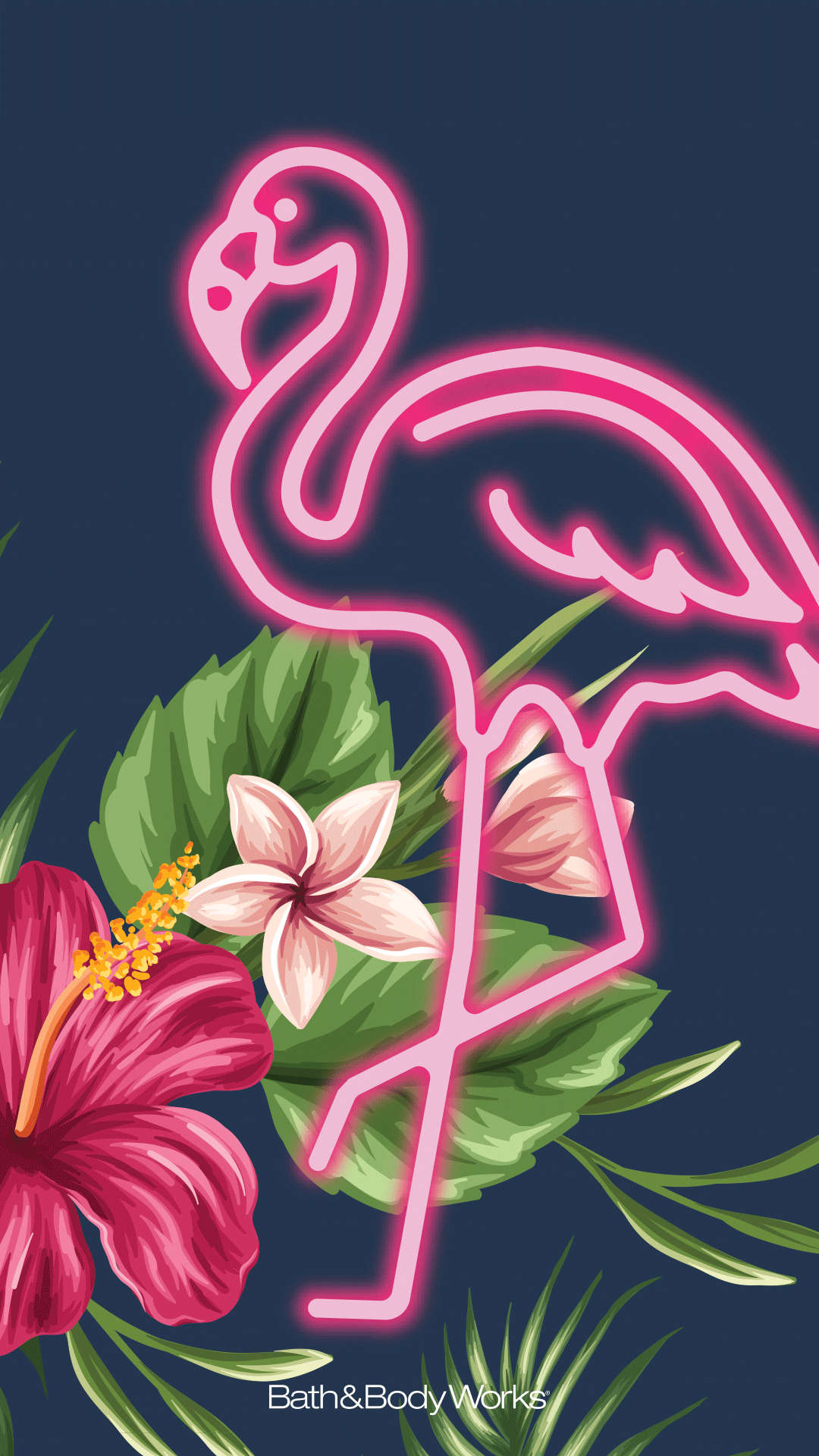 1080x1920 Flamingo Wallpaper Background. Wallpaper iphone summer, Hawaii art print, iPhone wallpaper