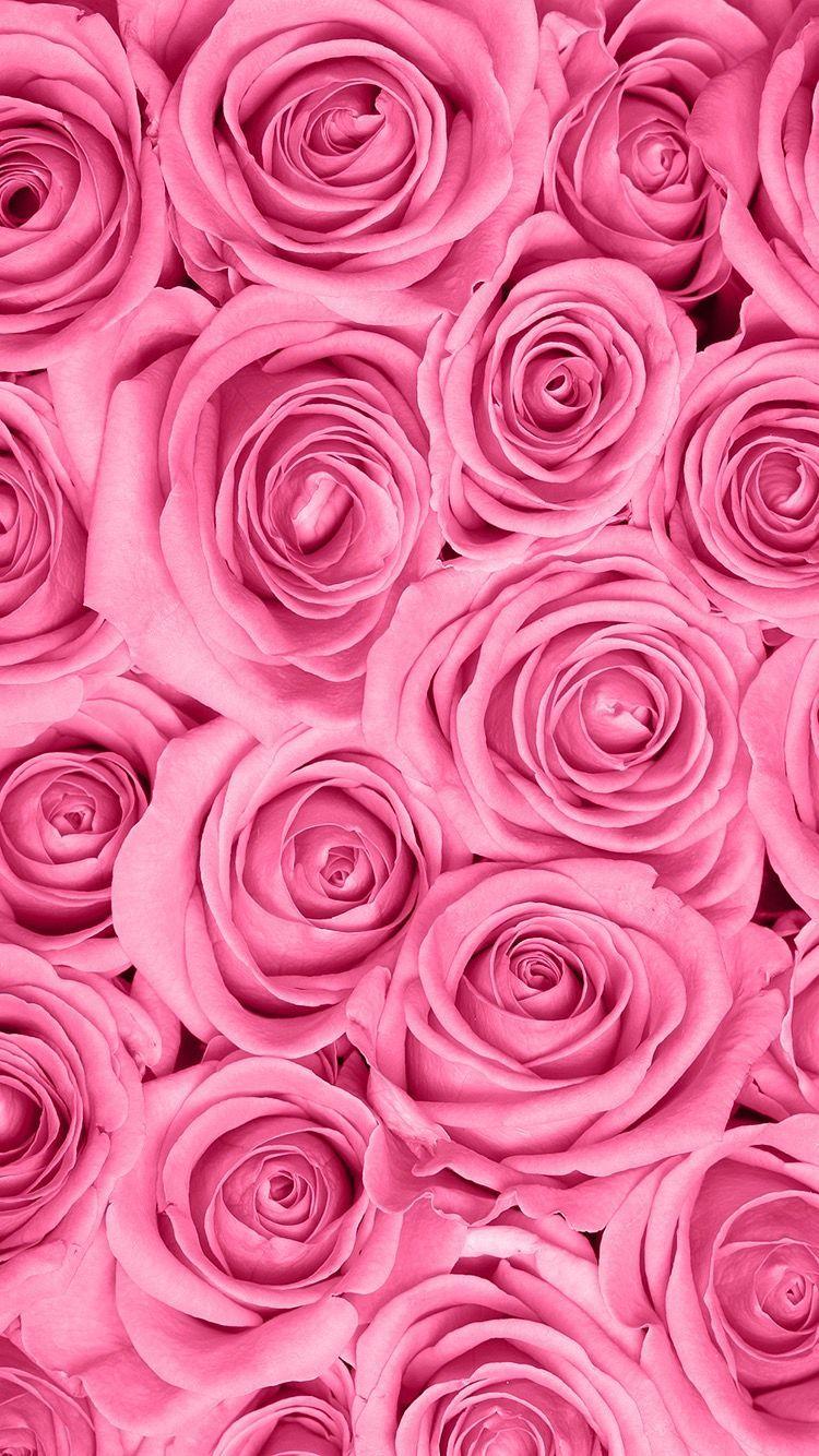 750x1334 Fondos de pantalla. Flower background iphone, Flower wallpaper, Rose wallpaper