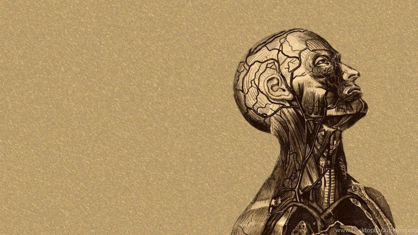 1366x768 Medical Desktop Background