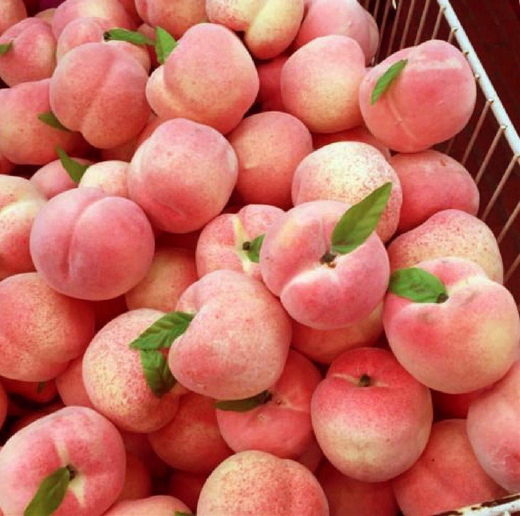 1024x1017 Aesthetic Peach Pink Wallpaper .