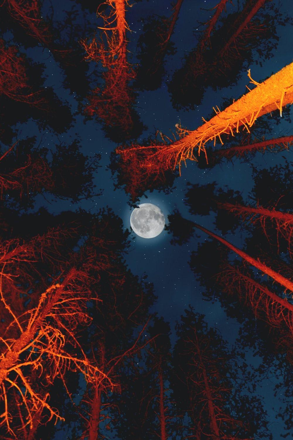 1000x1500 Lock Screen Wallpaper HD 1080p