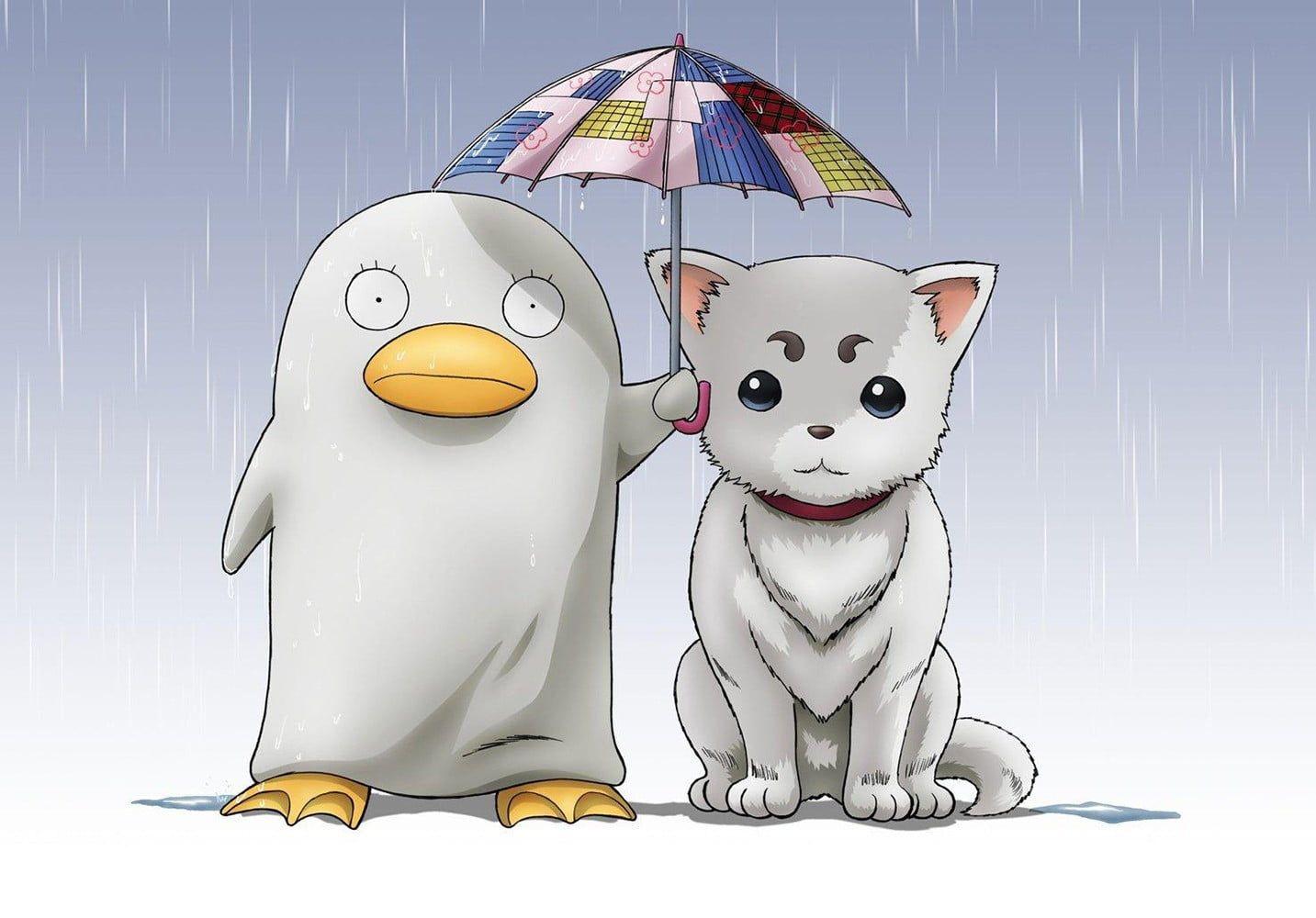 1433x1000 Elizabeth Wallpaper Gintama Wallpaper & Background Download