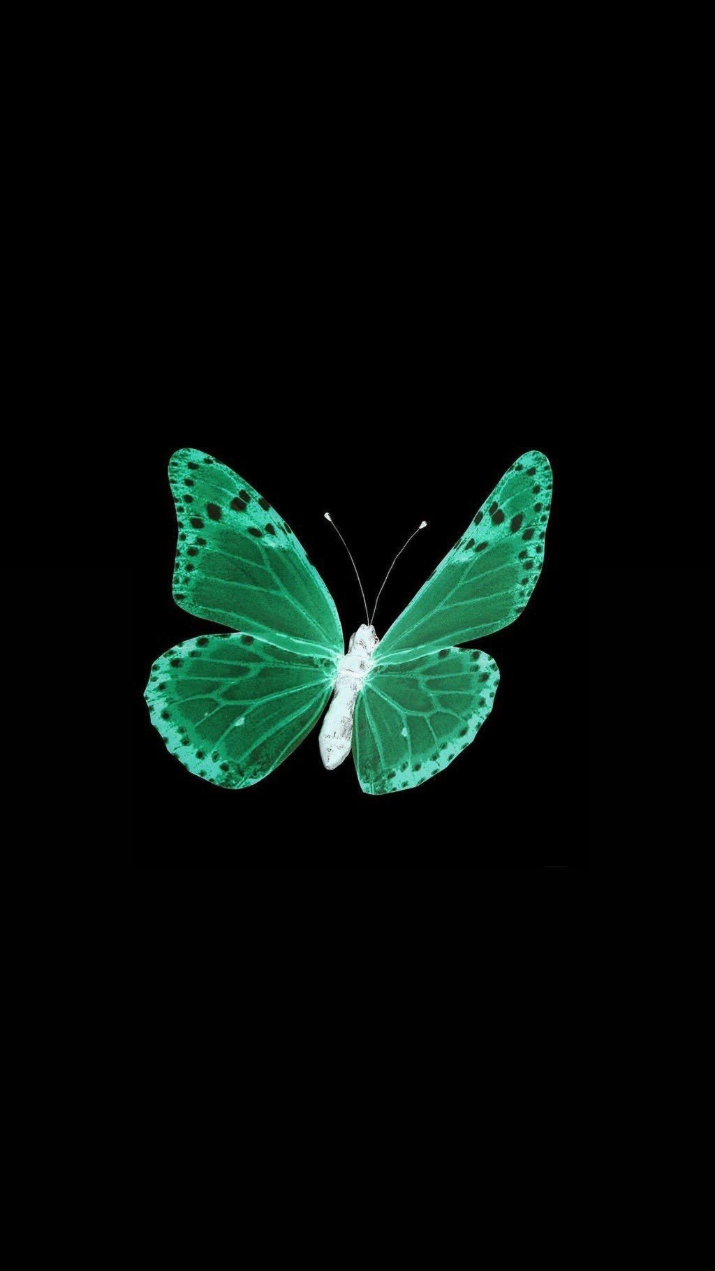 1024x1820 Vlone Butterfly Wallpaper Free HD Wallpaper