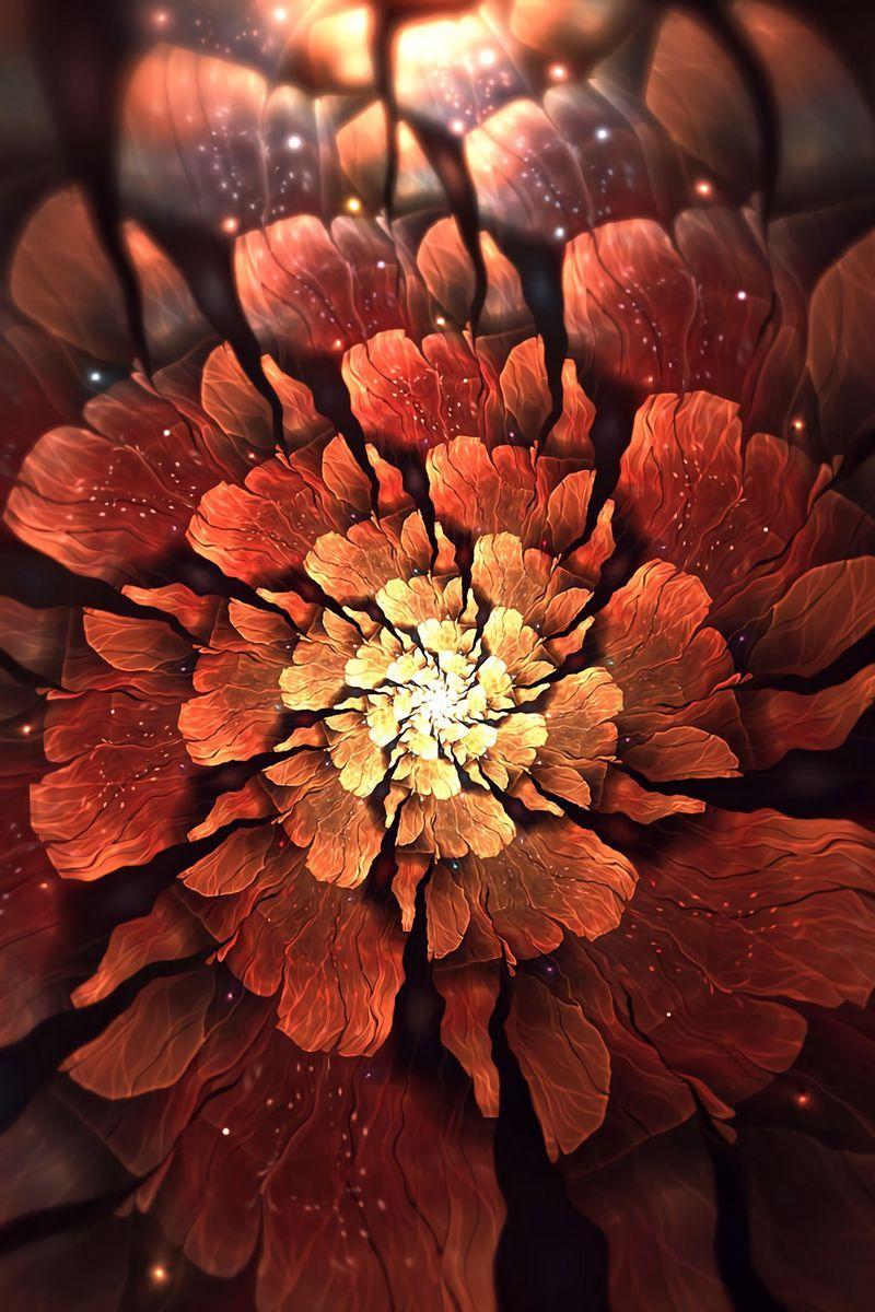 800x1200 Download Wallpaper 800x1200 Fractal, Flower, Abstraction, Glow, Glare Iphone 4s 4 For Parallax HD Background