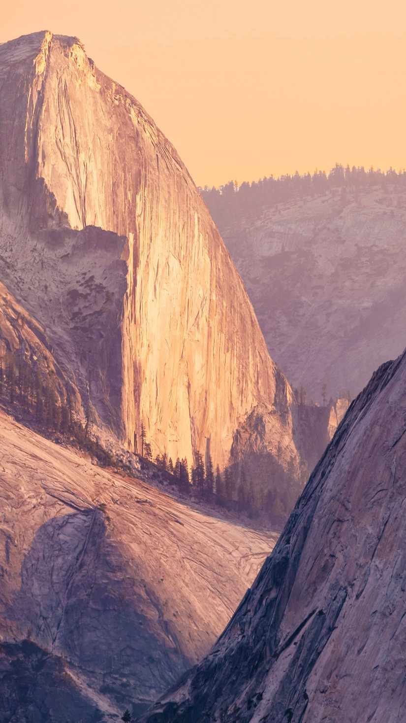 825x1467 Download Xiaomi MIUI 10 Stock Wallpaper