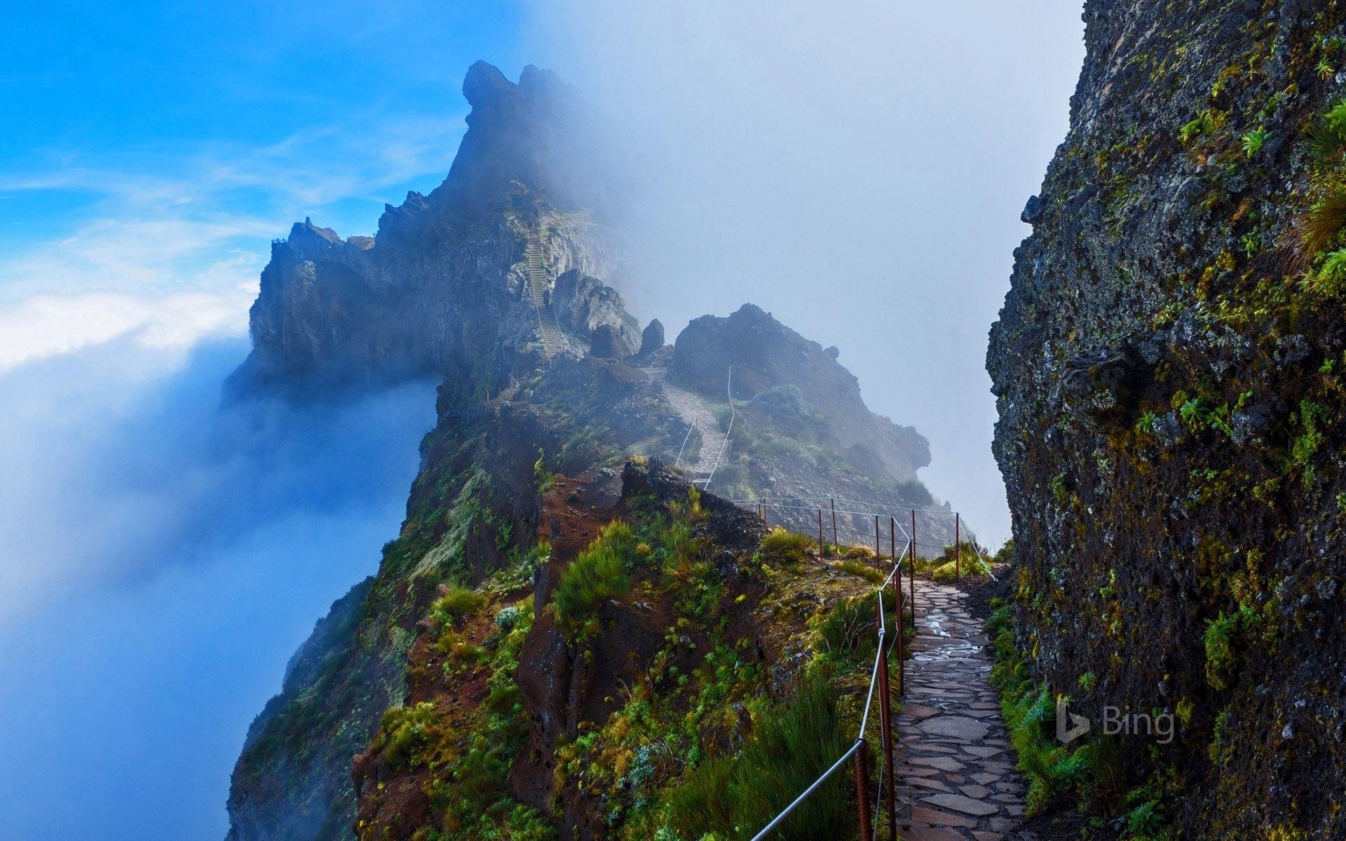 1920x1200 Mountain Trail In Madeira, Portugal (© Rusinka Shutterstock). Portugal, Mountain Trails, Portugal Travel