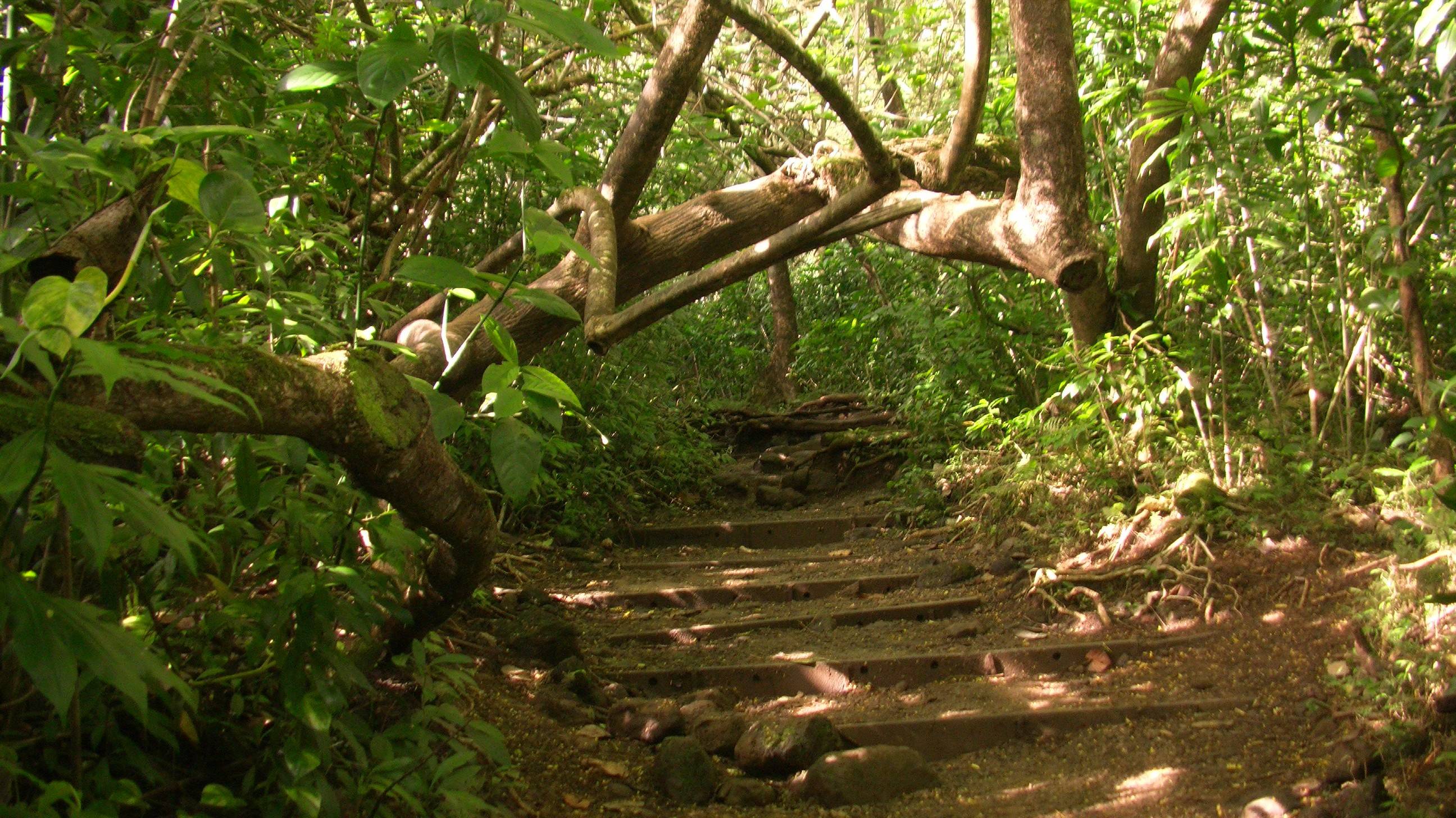 2592x1456 39OE838 Hiking Trail Wallpaper 2592x1456 px