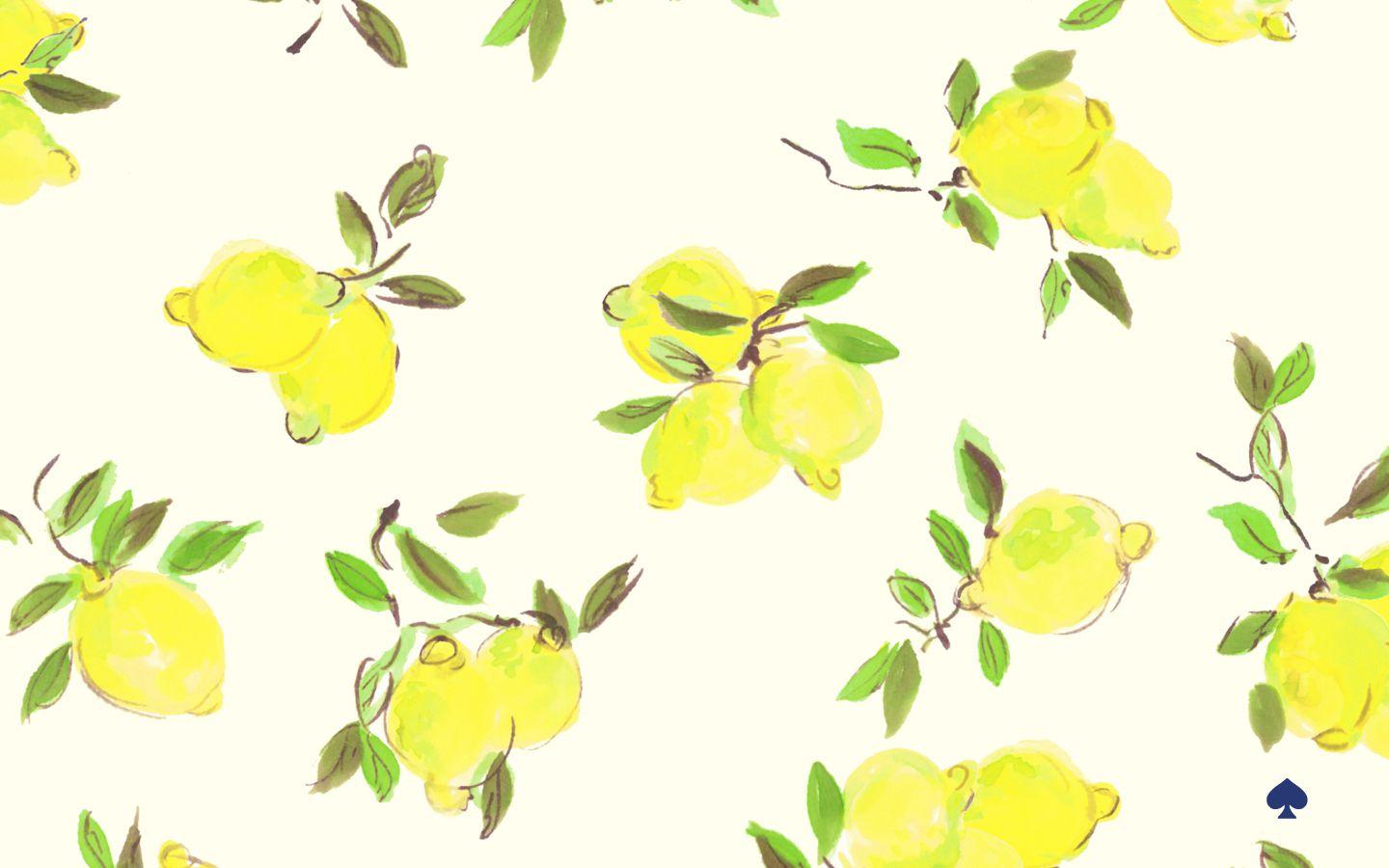 Lemon Laptop Wallpapers Top Free Lemon Laptop Backgrounds