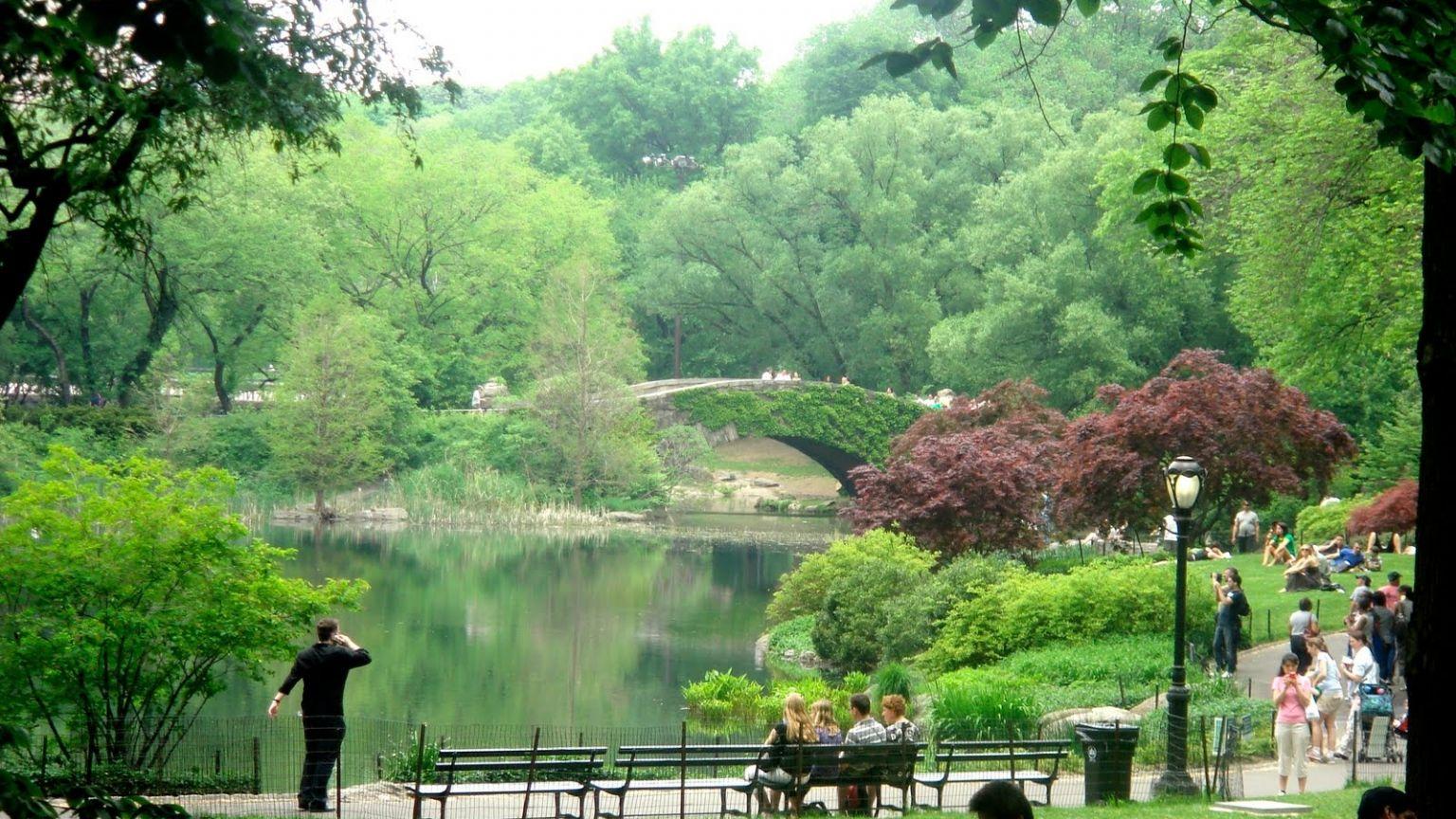 1536x864 Free download Park Summer Time High Resolution Wallpaper download Central Park [1600x1200] for your Desktop, Mobile & Tablet. Explore Central Park Wallpaper. Central Park Spring Wallpaper, NYC Spring Wallpaper