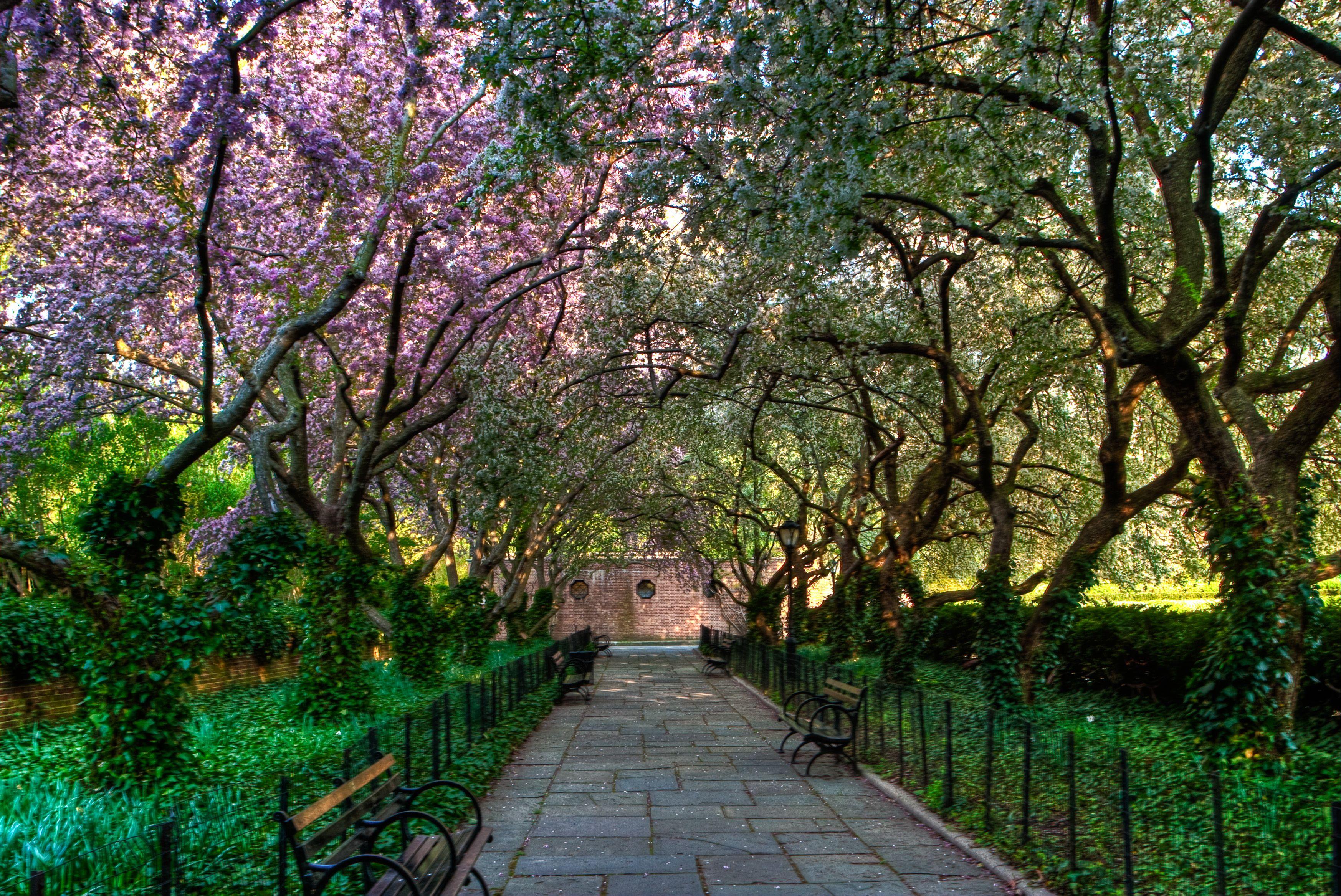 3493x2334 Free download Central Park Conservatory wallpaper ForWallpapercom [3493x2334] for your Desktop, Mobile & Tablet. Explore Central Park Background. Central Park Spring Wallpaper, NYC Spring Wallpaper, Central Park Fall Wallpaper