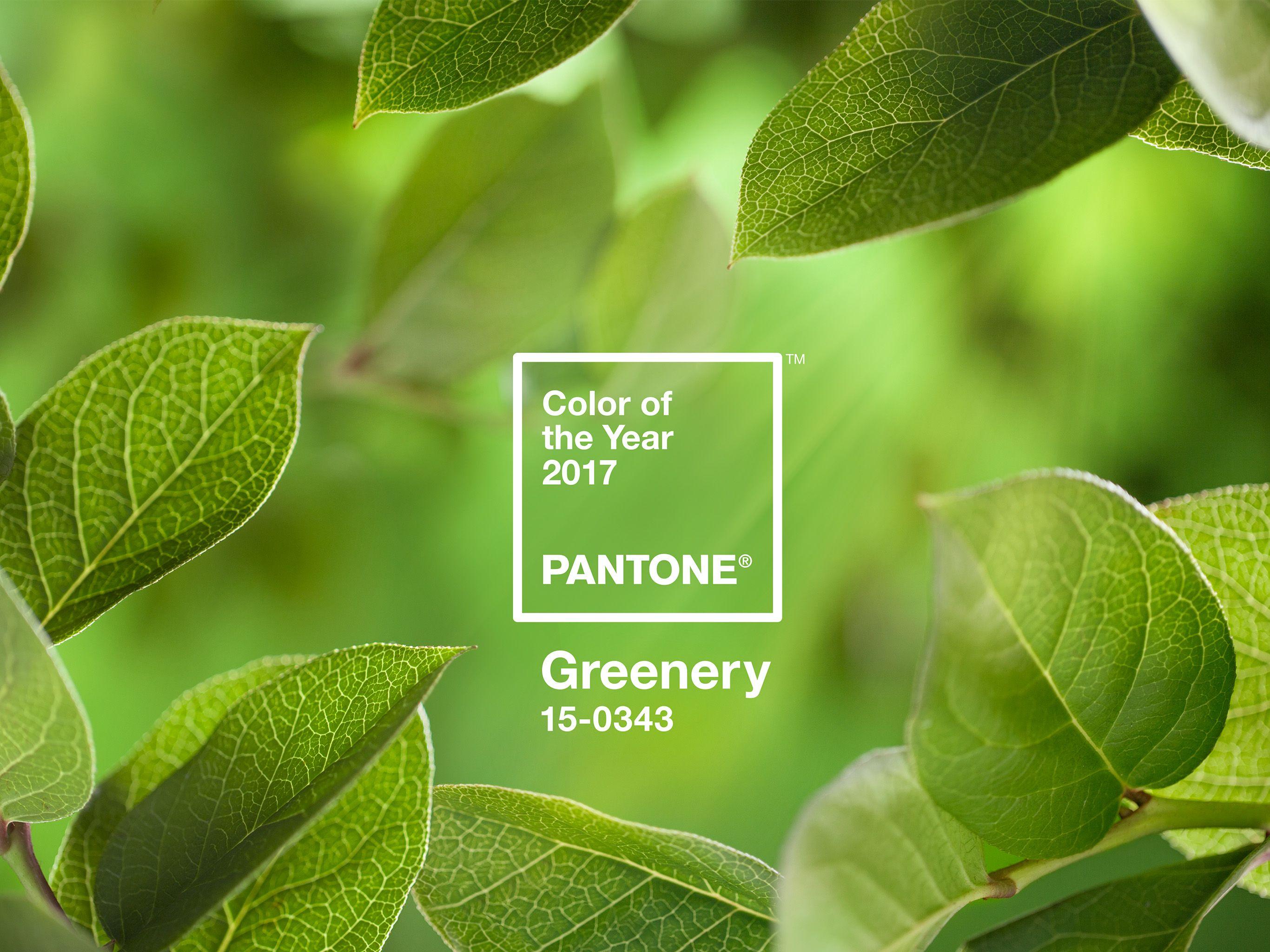 2732x2048 Greenery Pantone Color Of The Year