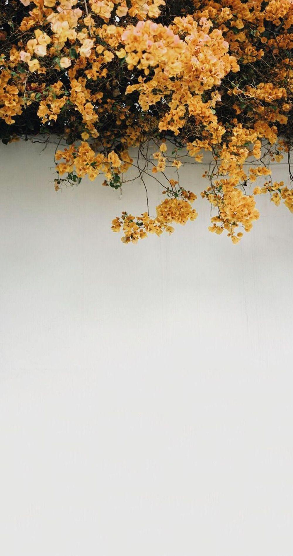 1000x1900 Yellow Flower Aesthetic Wallpaper