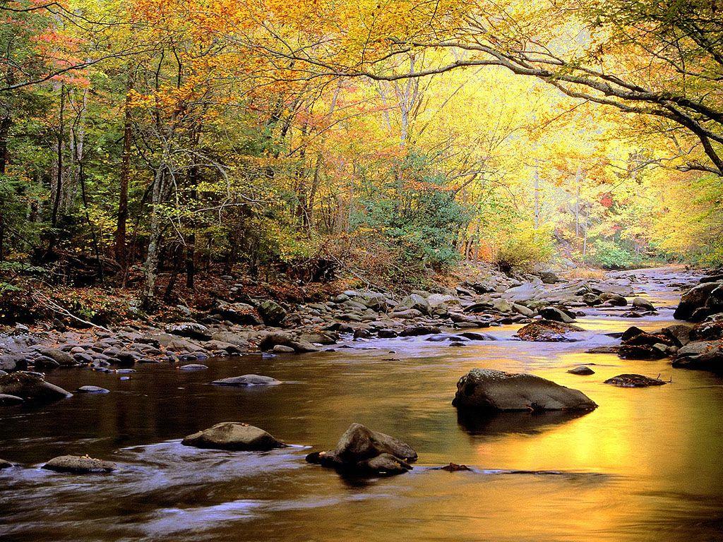 1024x768 Wallpaper & Picture: Very Nice Mountain River Wallpaper