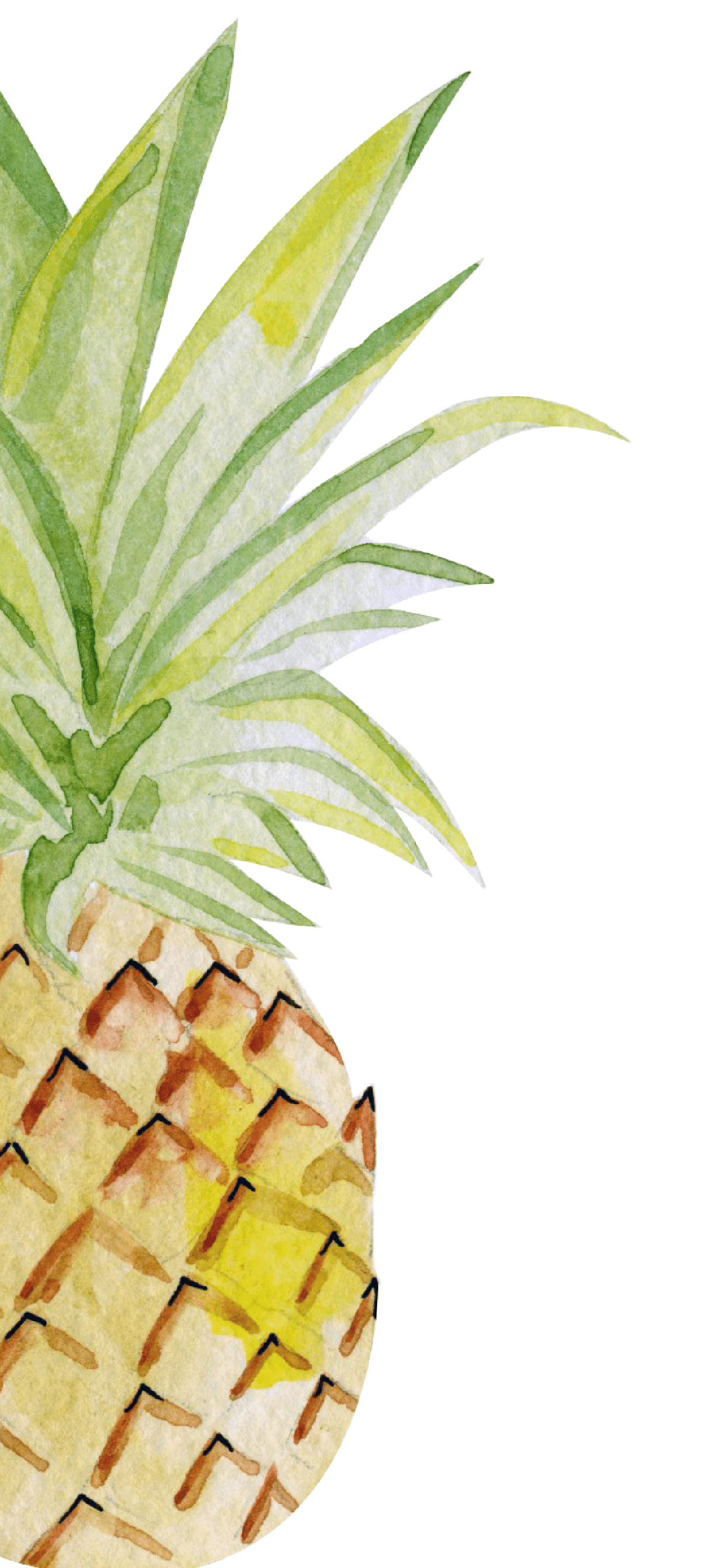 1242x2688 Pineapple Wallpaper For Phone