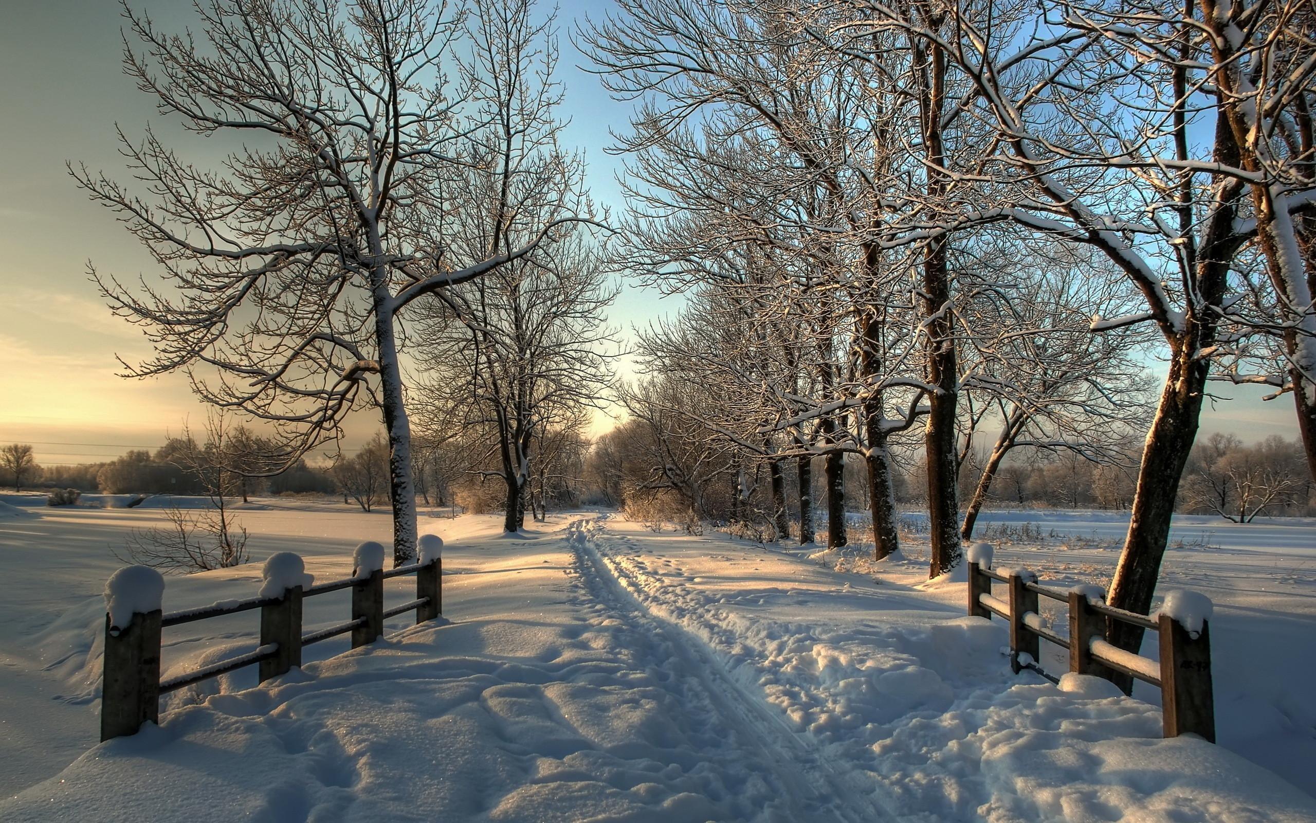 2560x1600 Download Winter Village Wallpaper, HD Background Download