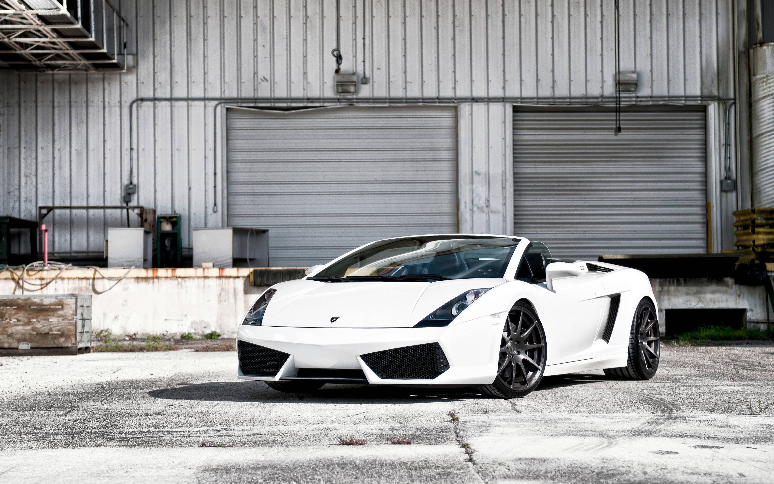 2560x1600 White Lamborghini Wallpaper