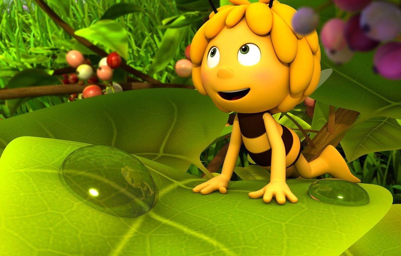 1332x850 Photo Wallpaper Leaf, Animated Film, Konoha, Bee, Animated The Bee HD Wallpaper & Background Download