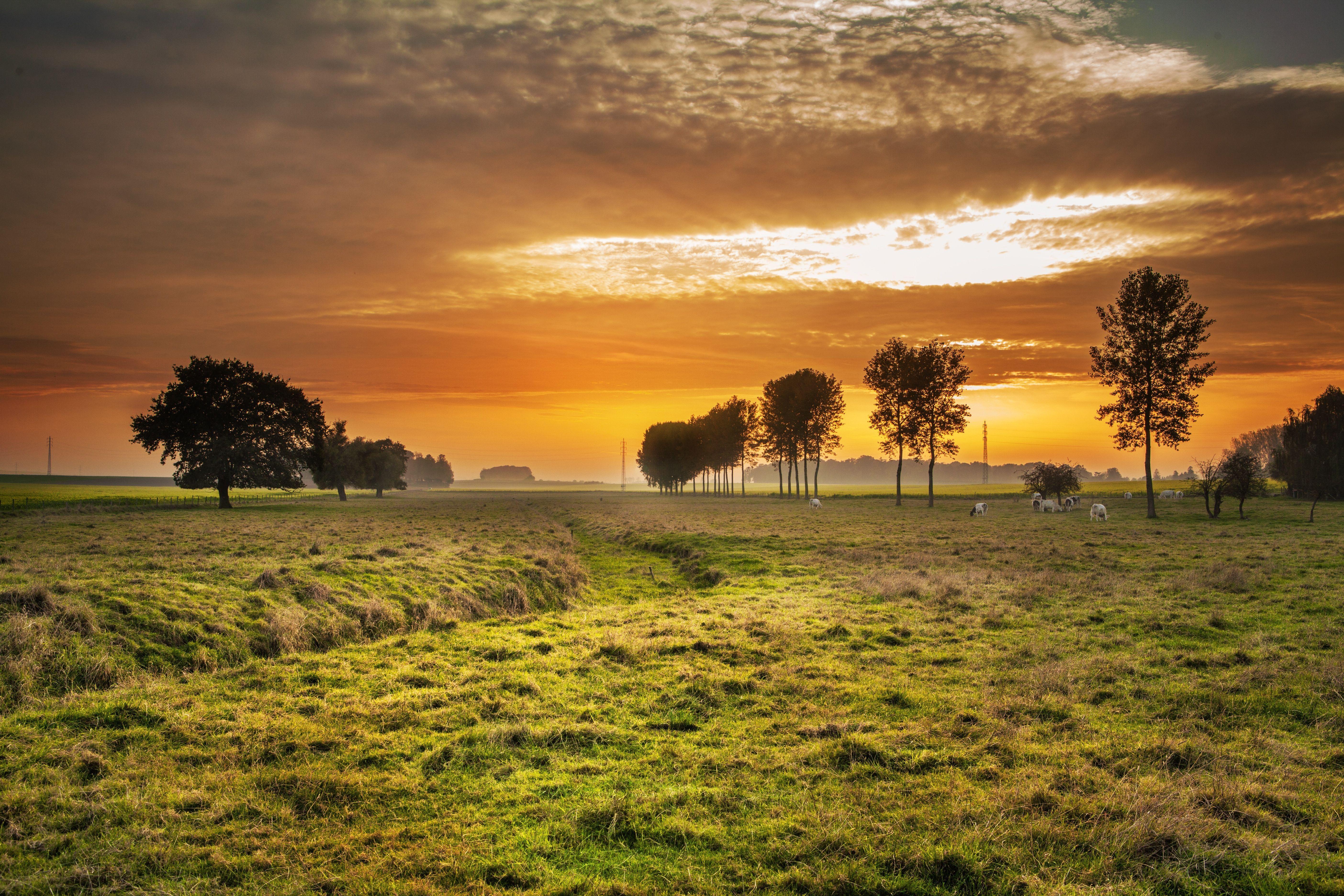 5616x3744 Nature Wallpaper