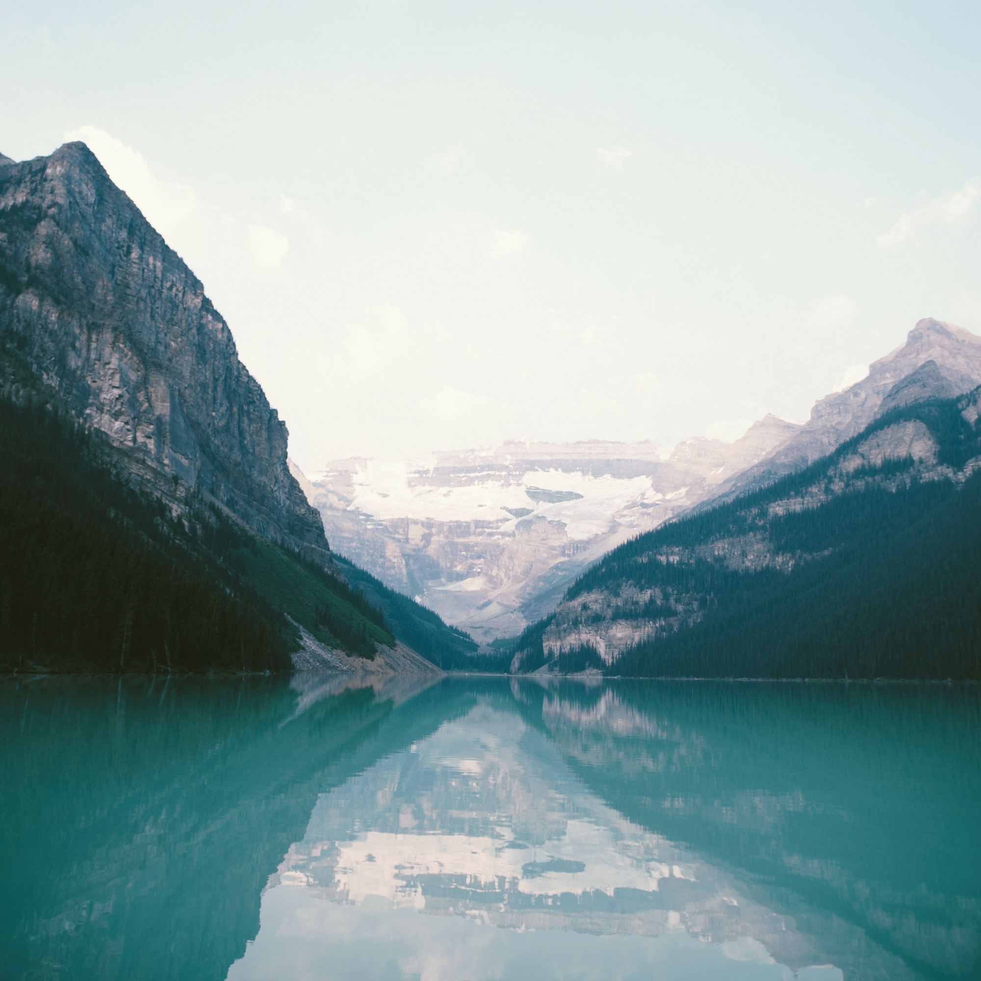 2000x2000 Pexels wallpaper