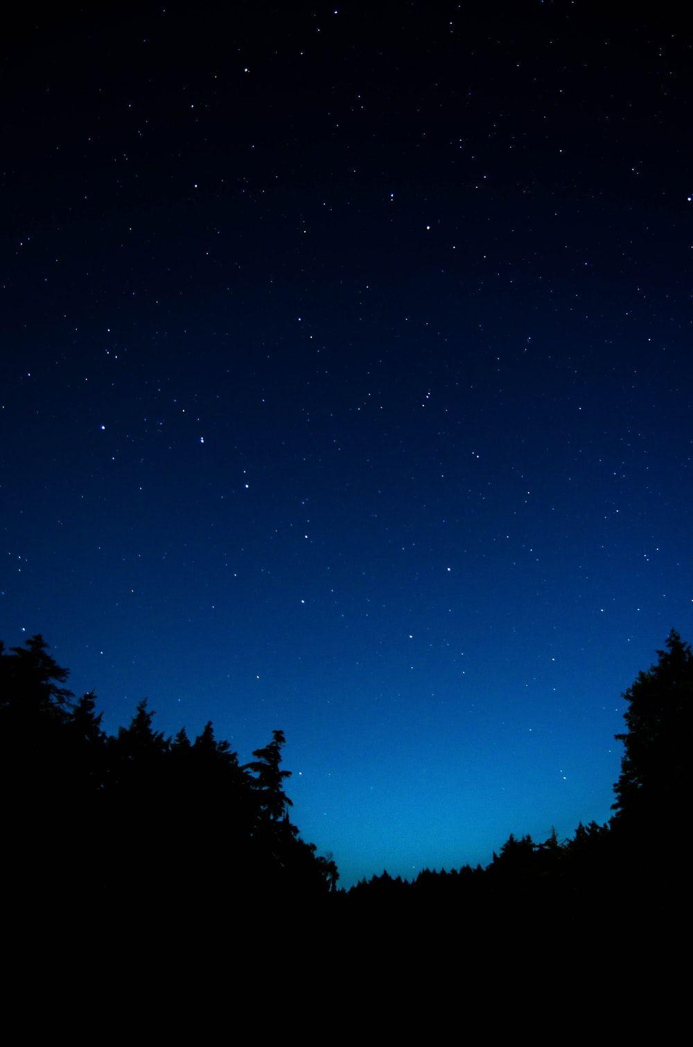 1000x1510 Pixel 3 Wallpaper: Free HD Download [HQ]
