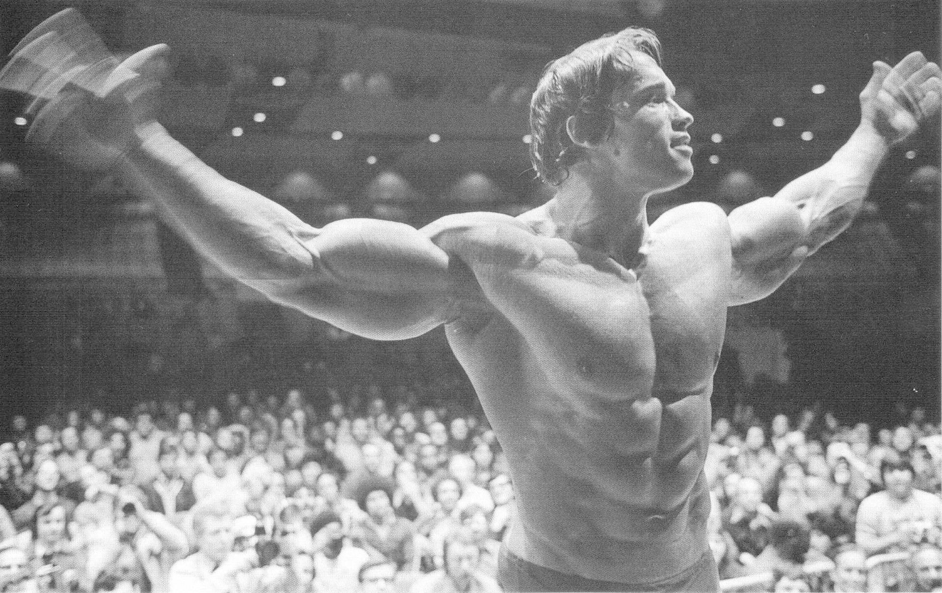 1920x1208 Bodybuilding Wallpaper