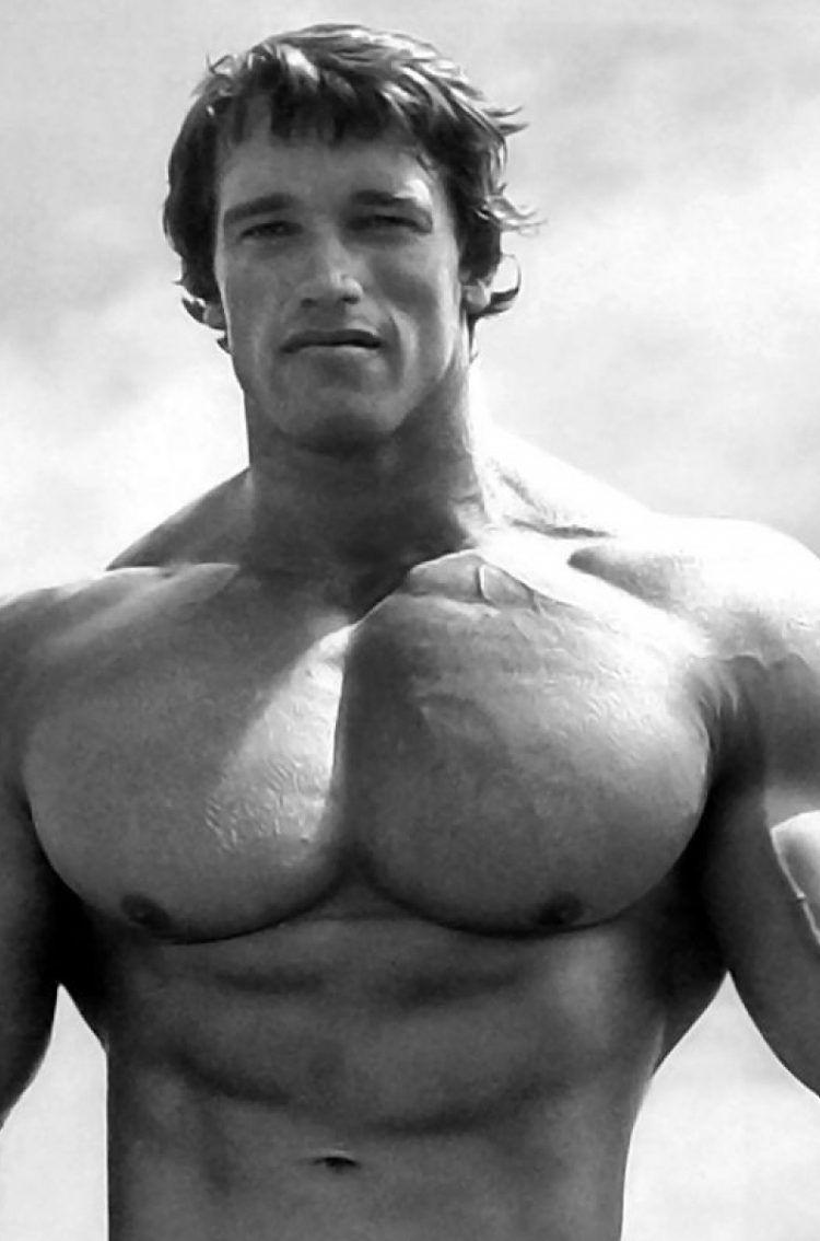 750x1134 Bodybuilding Wallpaper Arnold Schwarzenegger HD