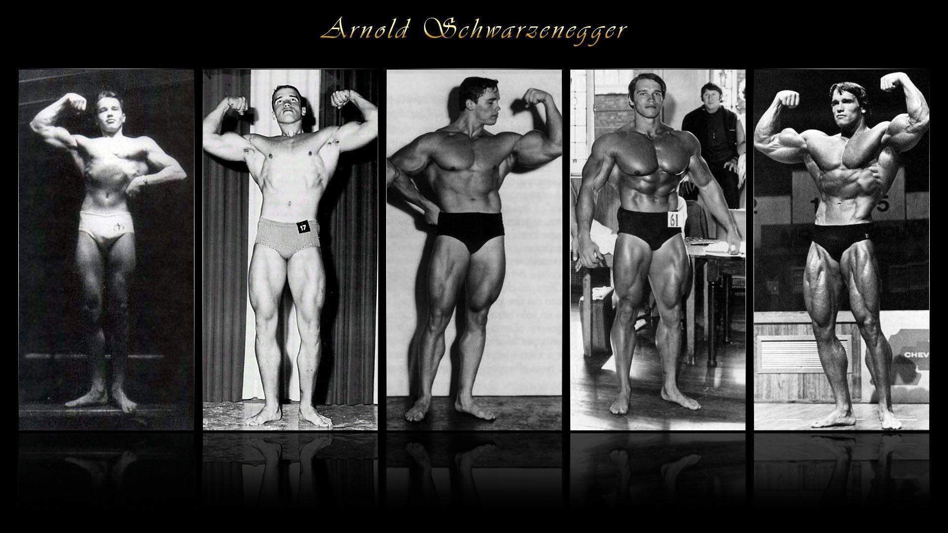 1920x1080 Arnold Schwarzenegger, Bodybuilding, Fitness, Men HD Wallpaper & Background • 2584 • Wallur