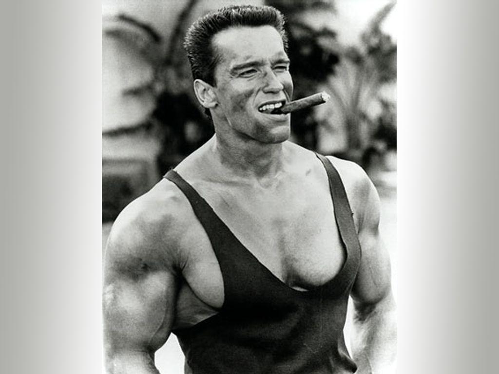 1024x768 Arnold Schwarzenegger Image. Original 100% Quality HD Wallpaper Collection