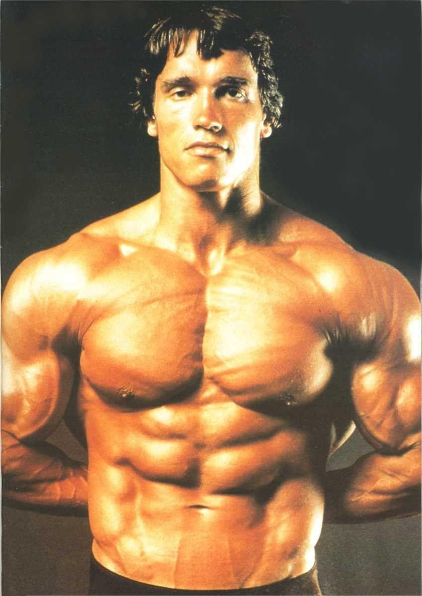 Arnold Schwarzenegger Bodybuilding Wallpapers Top Free Arnold