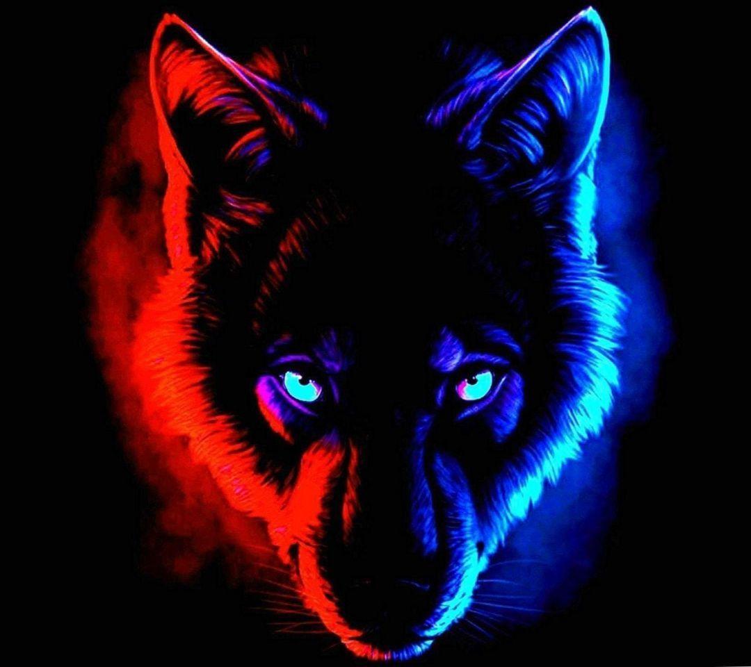 Evil Wolf Eyes Wallpapers - Top Free Evil Wolf Eyes Backgrounds ...