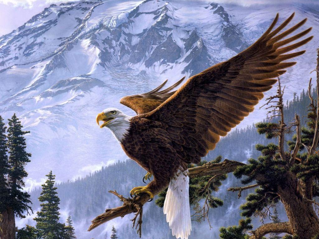 1024x768 Free Eagle Wallpaper for Desktop