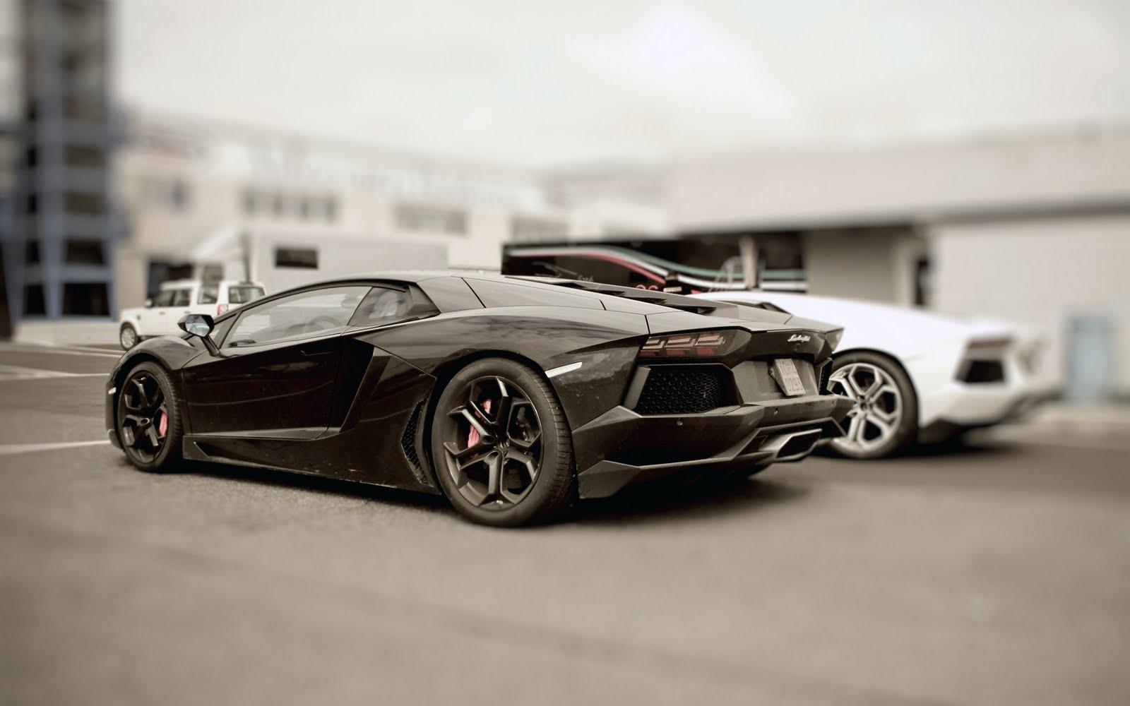 1600x1000 Black And White Lamborghini Wallpaper