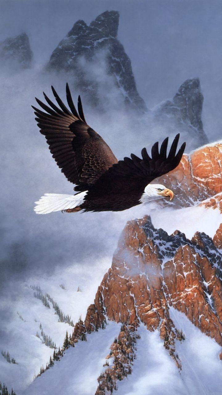 720x1280 Free download American Eagle Wallpaper Top American Eagle Background [720x1280] for your Desktop, Mobile & Tablet. Explore The American Eagle Wallpaper. The American Eagle Wallpaper, American Eagle Wallpaper, American Eagle Wallpaper