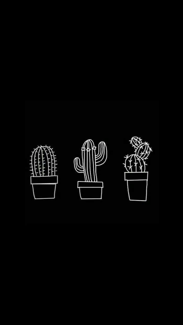 700x1245 tumblr #black #white #blackandwhite #cactus #kaktüs #aesthetic #wallpaper #background #f. Black aesthetic wallpaper, Cute black wallpaper, Dark wallpaper iphone