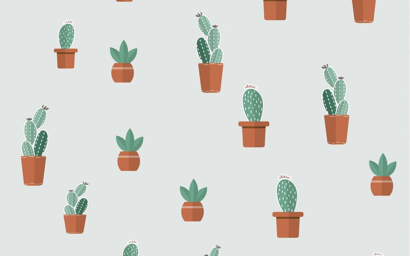 1680x1050 Cactus Background High Quality Image