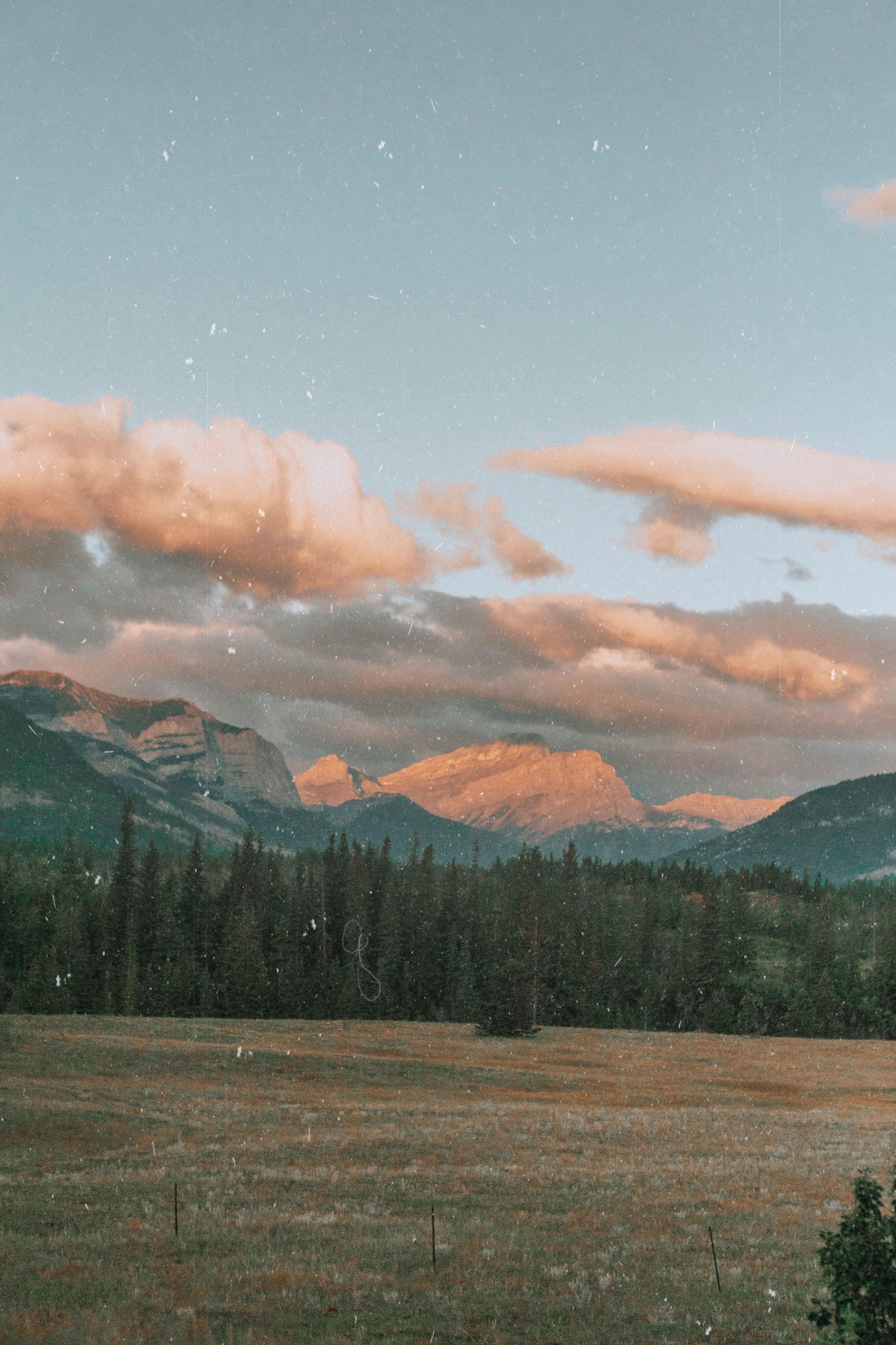 2730x4096 Nature Aesthetic Wallpaper