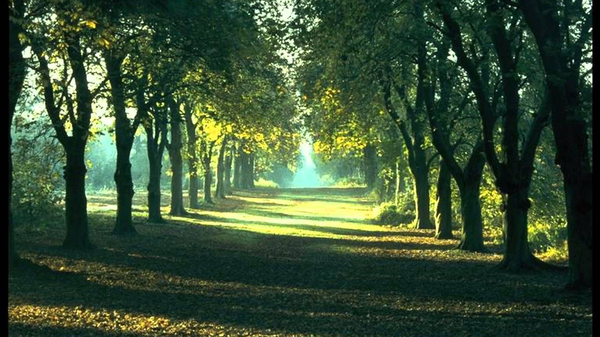 1920x1080 Relax Wallpaper HD