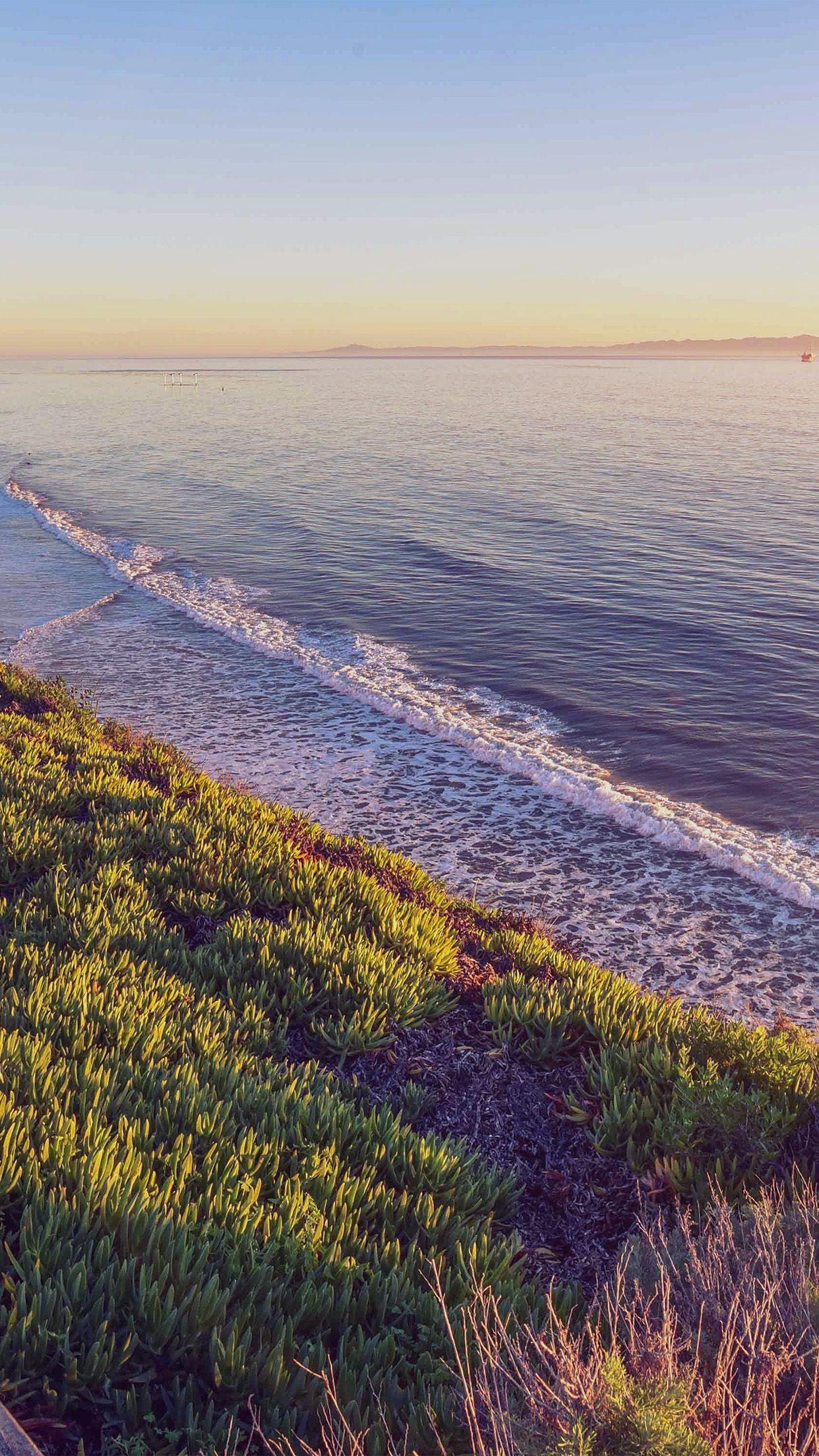 1242x2208 iPhone7 wallpaper. peace nature wood sea ocean nature flare