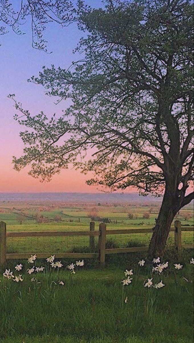 681x1200 c o t t a g e c o r e. Nature photography, Sky aesthetic, Nature aesthetic