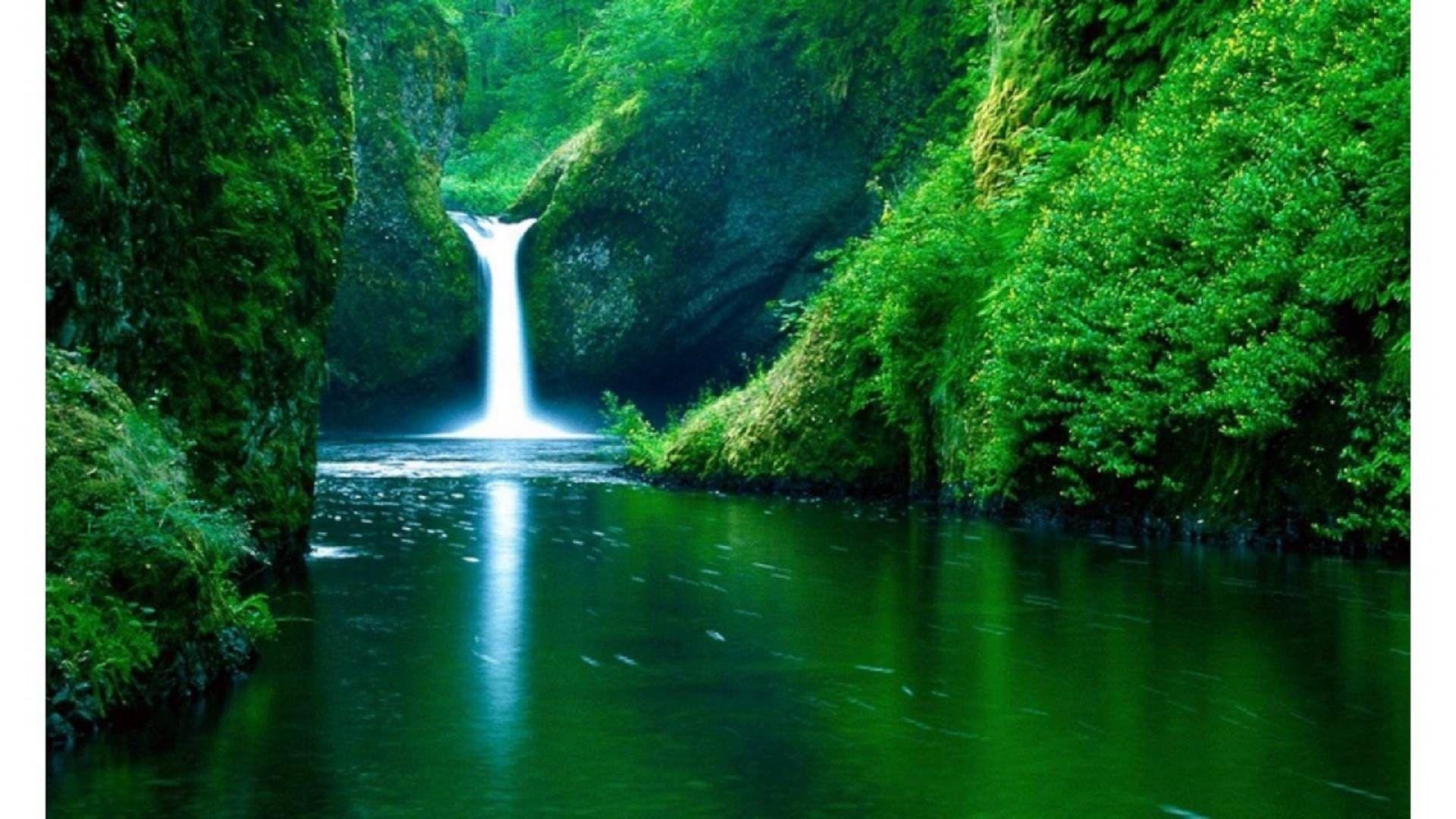 1920x1080 Nature[1920 X 1080]. Relaxing music, Summer desktop background, Stress relief music