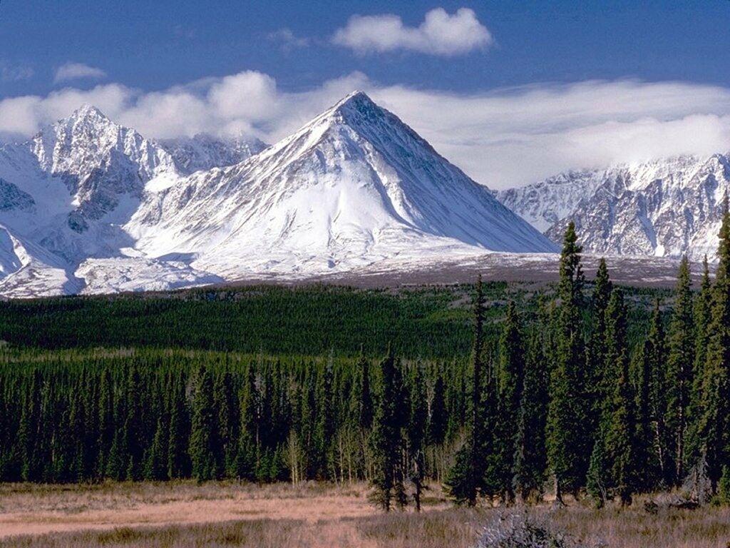 1024x768 Free download Mountain wallpaper 77 Nature Wallpaper Mountain Home [1024x768] for your Desktop, Mobile & Tablet. Explore Free Mountain Wallpaper. Free Wallpaper Mountain Scenes, HD Mountain Wallpaper, Blue Mountain Free Wallpaper