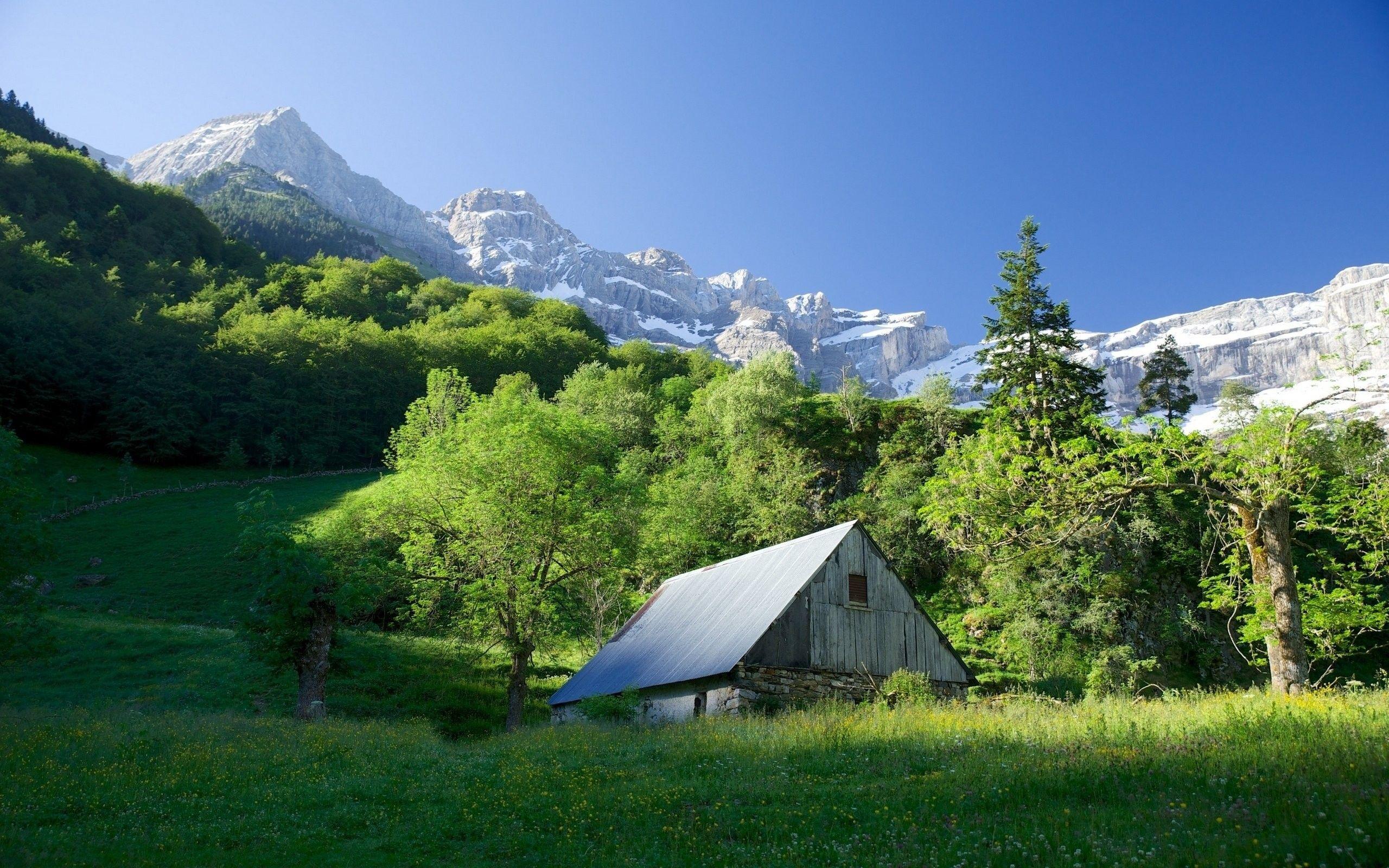 2560x1600 HD Nature Wallpaper, mountain, Snow, Tablet, Sunny, River Background, Display, Forest, Home, Samsung